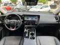 Lexus NX 350h Executive+ 4WD Zielony - thumbnail 15