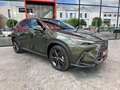 Lexus NX 350h Executive+ 4WD Zielony - thumbnail 5
