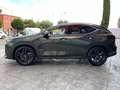 Lexus NX 350h Executive+ 4WD Zielony - thumbnail 9