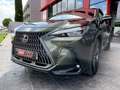 Lexus NX 350h Executive+ 4WD Zielony - thumbnail 11