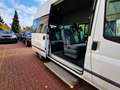 Ford Transit FT 300 2.2TDCI BEHINDERTENTRANSPORTER Blanc - thumbnail 13