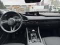 Mazda 3 e-SKYACTIV-G 140 M-Hybrid Homura Grau - thumbnail 8