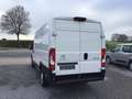 Citroen Jumper l4h2 163pk 2024 56000km full/option 19950e ex Blanc - thumbnail 13