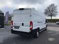 Citroen Jumper l4h2 163pk 2024 56000km full/option 19950e ex Blanc - thumbnail 12