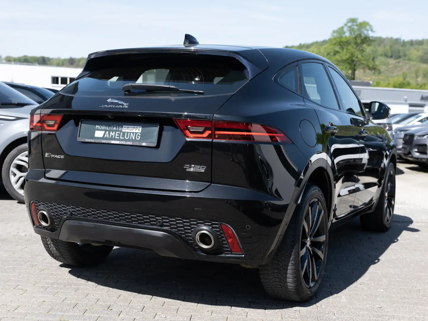 Jaguar Siyah - 2