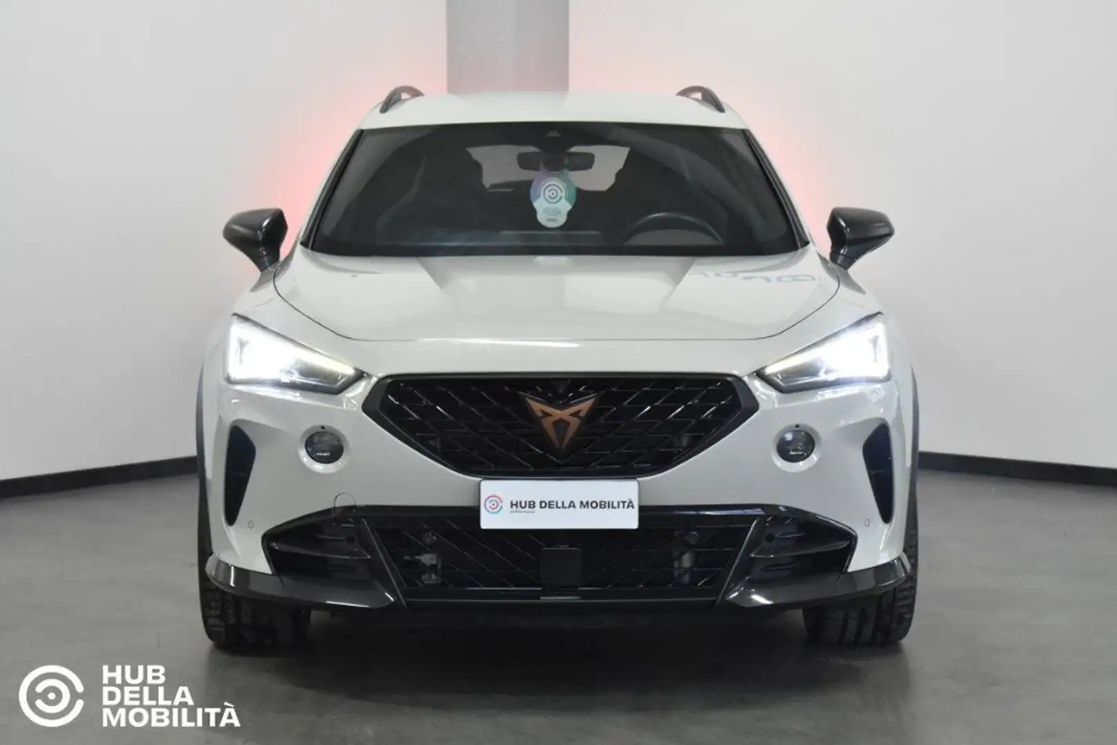 CUPRA Formentor 2.5 TSI 4Drive DSG VZ5 549/999 Taiga Grey Grigio - 1