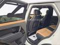 Land Rover Range Rover Sport Autob. Massage Kühl. Standh. Weiß - thumbnail 20