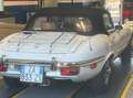 Jaguar E-Type V12 cabrio Bianco - thumbnail 4