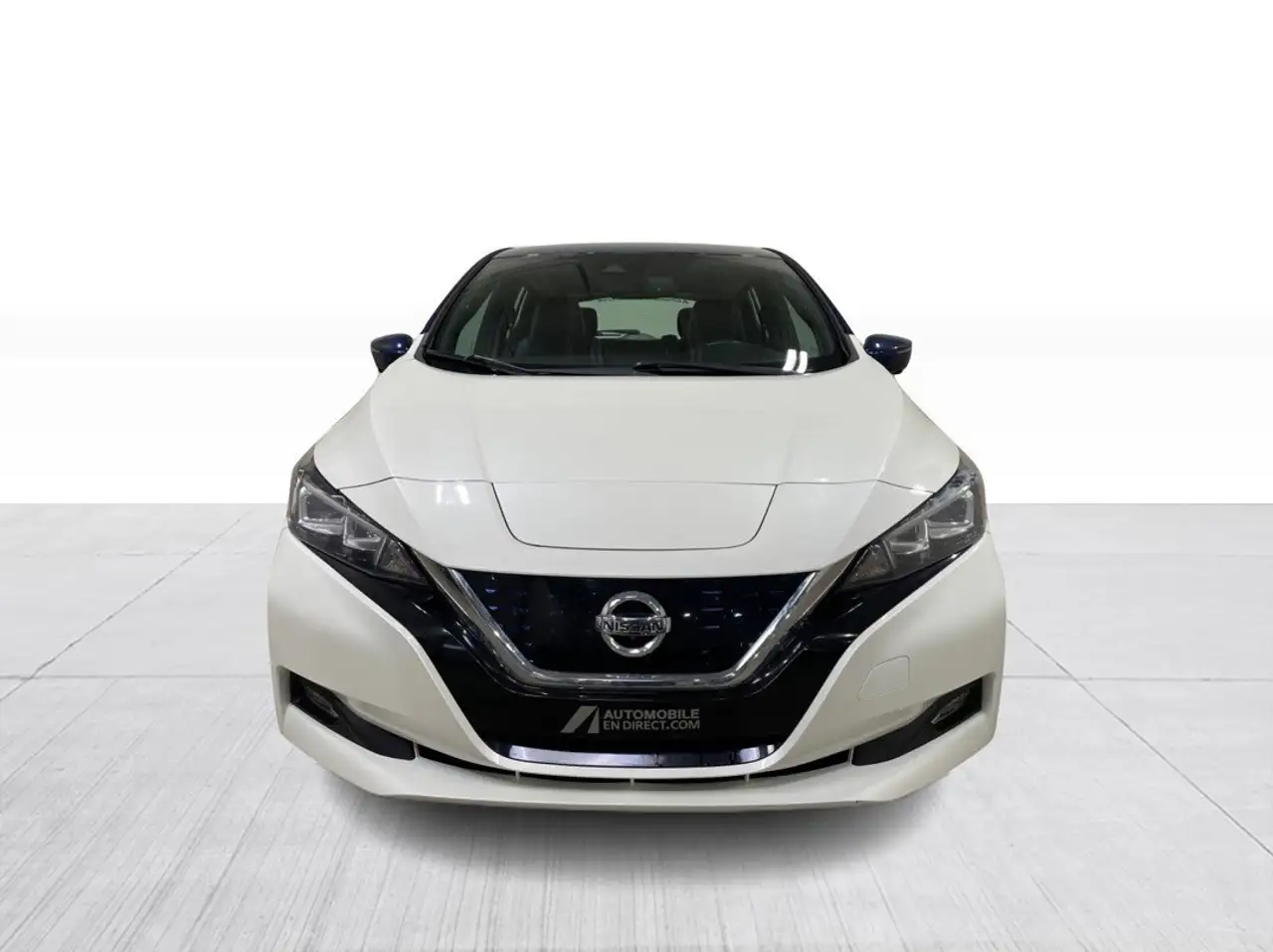 Nissan Leaf снимка Nissan Leaf