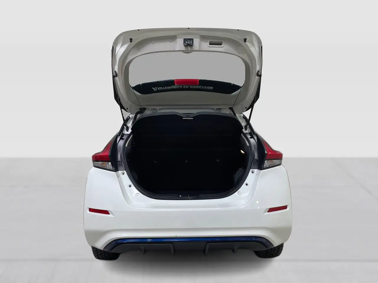 Nissan Leaf снимка Nissan Leaf