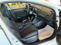Renault Megane 1.5 BLUEDCI 115 cv. 5 porte BUSINESS (Nav) Bianco - thumbnail 14