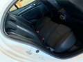 Renault Megane 1.5 BLUEDCI 115 cv. 5 porte BUSINESS (Nav) Bianco - thumbnail 12