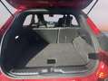 Ford Puma 1.0 EcoBoost 125cv ST-Line X MHEV Rouge - thumbnail 17