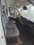 Fiat Ducato Ducato 35 L2H2 140 mit Anhängerkupplung Weiß - thumbnail 10