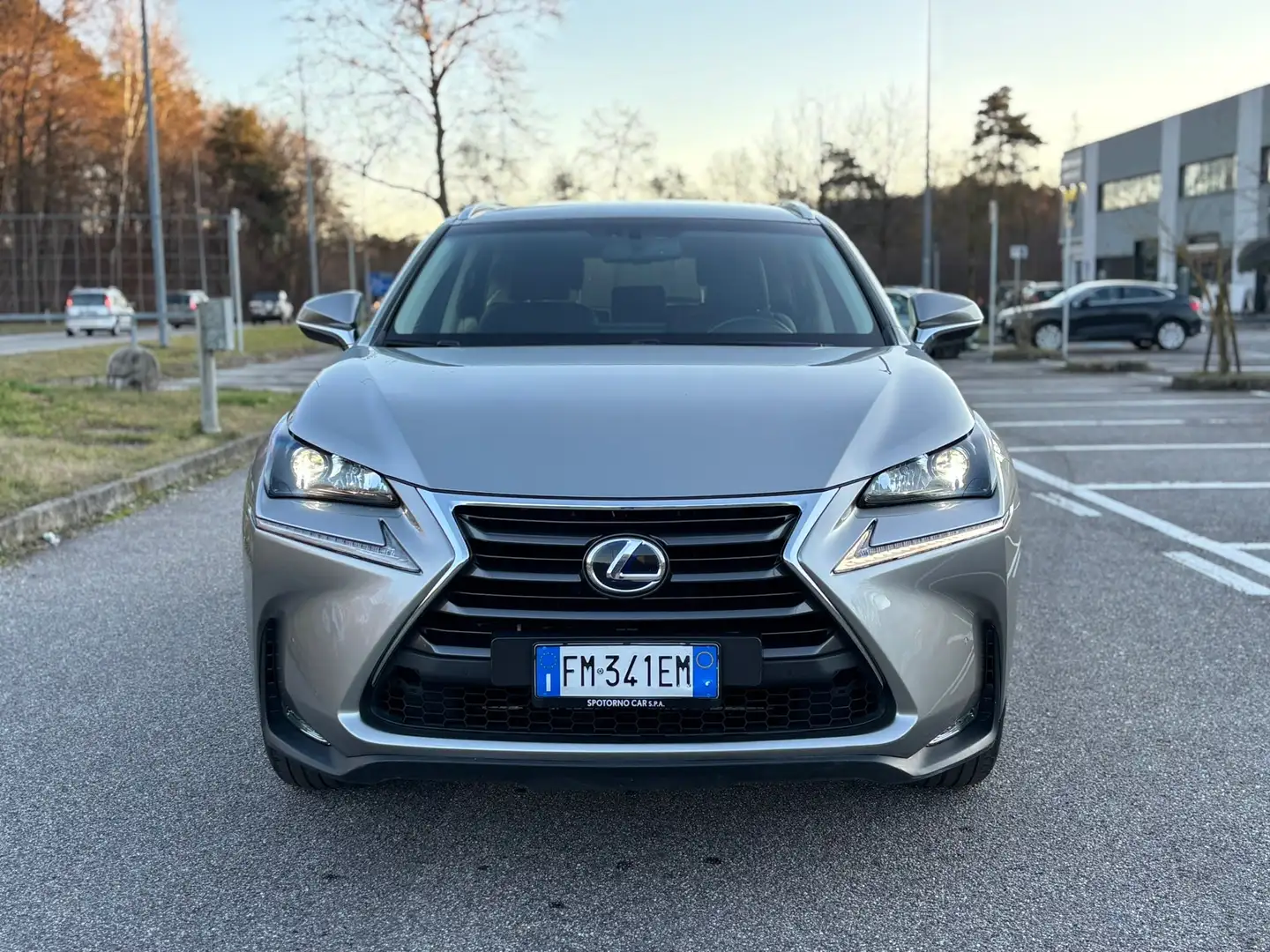 Lexus NX 300h Nx Hybrid 4WD EXECUTIVE - 2