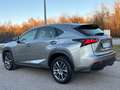 Lexus NX 300h Nx Hybrid 4WD EXECUTIVE - thumbnail 6
