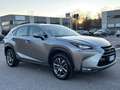 Lexus NX 300h Nx Hybrid 4WD EXECUTIVE - thumbnail 3