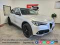 Alfa Romeo Stelvio Stelvio 2.2 t Business Q4 210cv auto my19 Argento - thumbnail 1