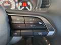 Mazda CX-30 e-Skyactive G140 Homura Aut. | AUTO STAHL WIEN ... Grau - thumbnail 12