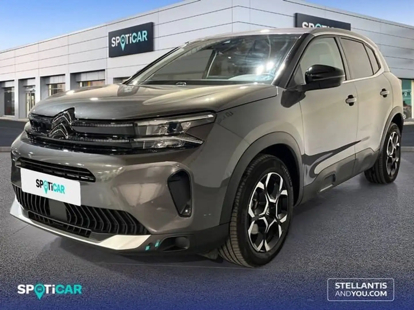 Citroen C5 Aircross BlueHdi 96kW (130CV) S&S EAT8 Plus Gris - 1