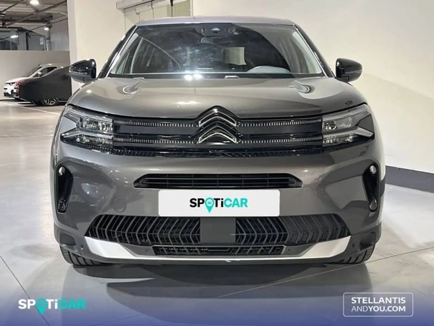 Citroen C5 Aircross BlueHdi 96kW (130CV) S&S EAT8 Plus Gris - 2