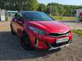 Kia XCeed Xceed 1,5 TGDI 48V GPF GT-Line DCT GT-Line Rot - thumbnail 3
