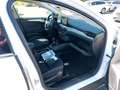 Ford Focus Cool /1 Jahr Garantie/TÜV Neu /1.Hand/NAVI 88 k... Blanco - thumbnail 12