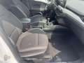 Ford Focus Cool /1 Jahr Garantie/TÜV Neu /1.Hand/NAVI 88 k... Blanco - thumbnail 25