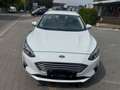 Ford Focus Cool /1 Jahr Garantie/TÜV Neu /1.Hand/NAVI 88 k... Blanco - thumbnail 3