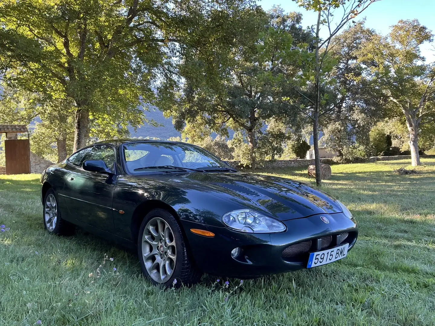 Jaguar XKR XKR+Coupé+4.0+Aut. Verde - 1