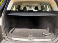 Ford Kuga Trend AHK, Xenon, Winterpaket Schwarz - thumbnail 9