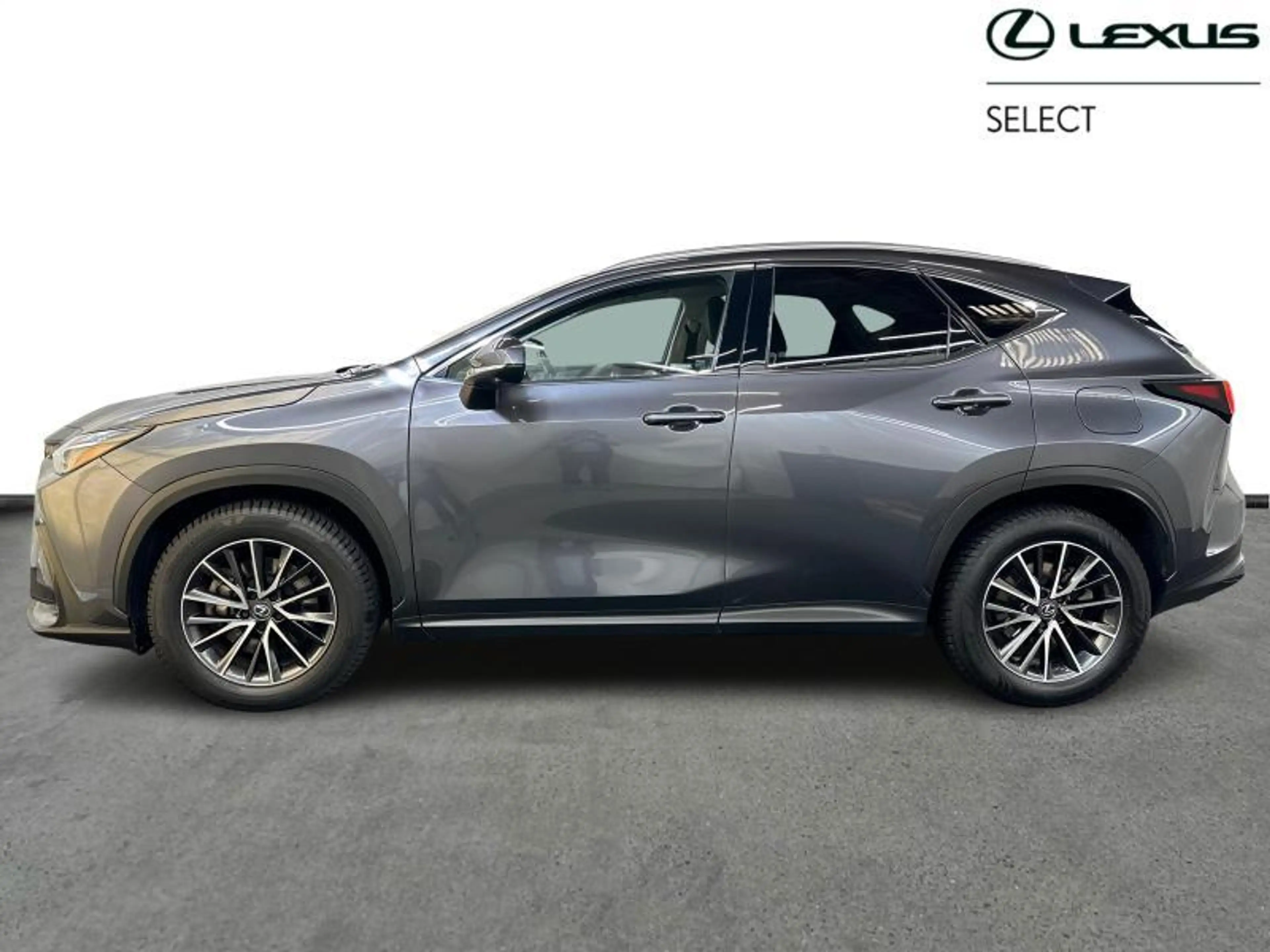 Lexus NX 450h+ Executive Line PHEV — photo 3