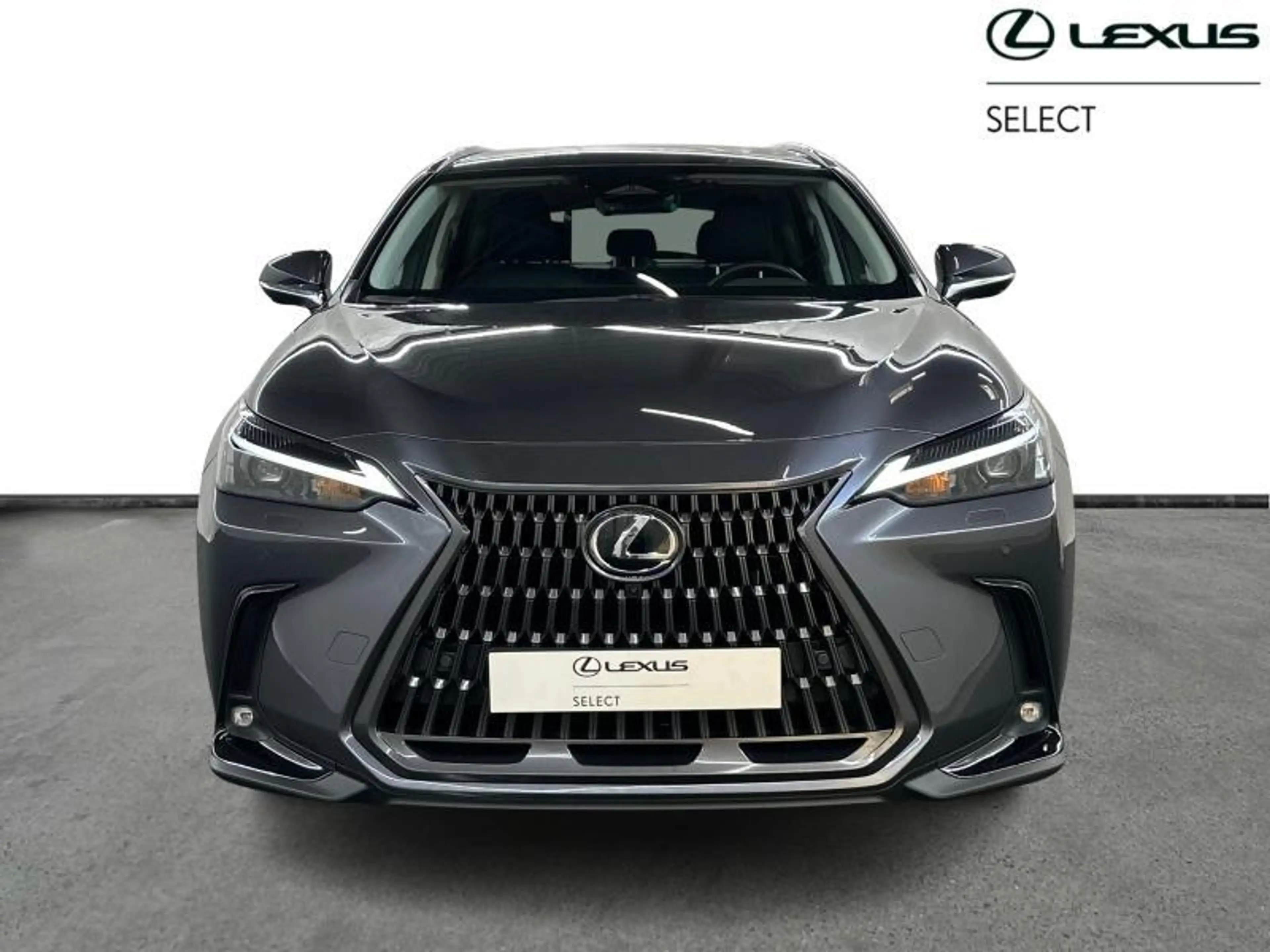 Lexus NX 450h+ Executive Line PHEV — photo 5