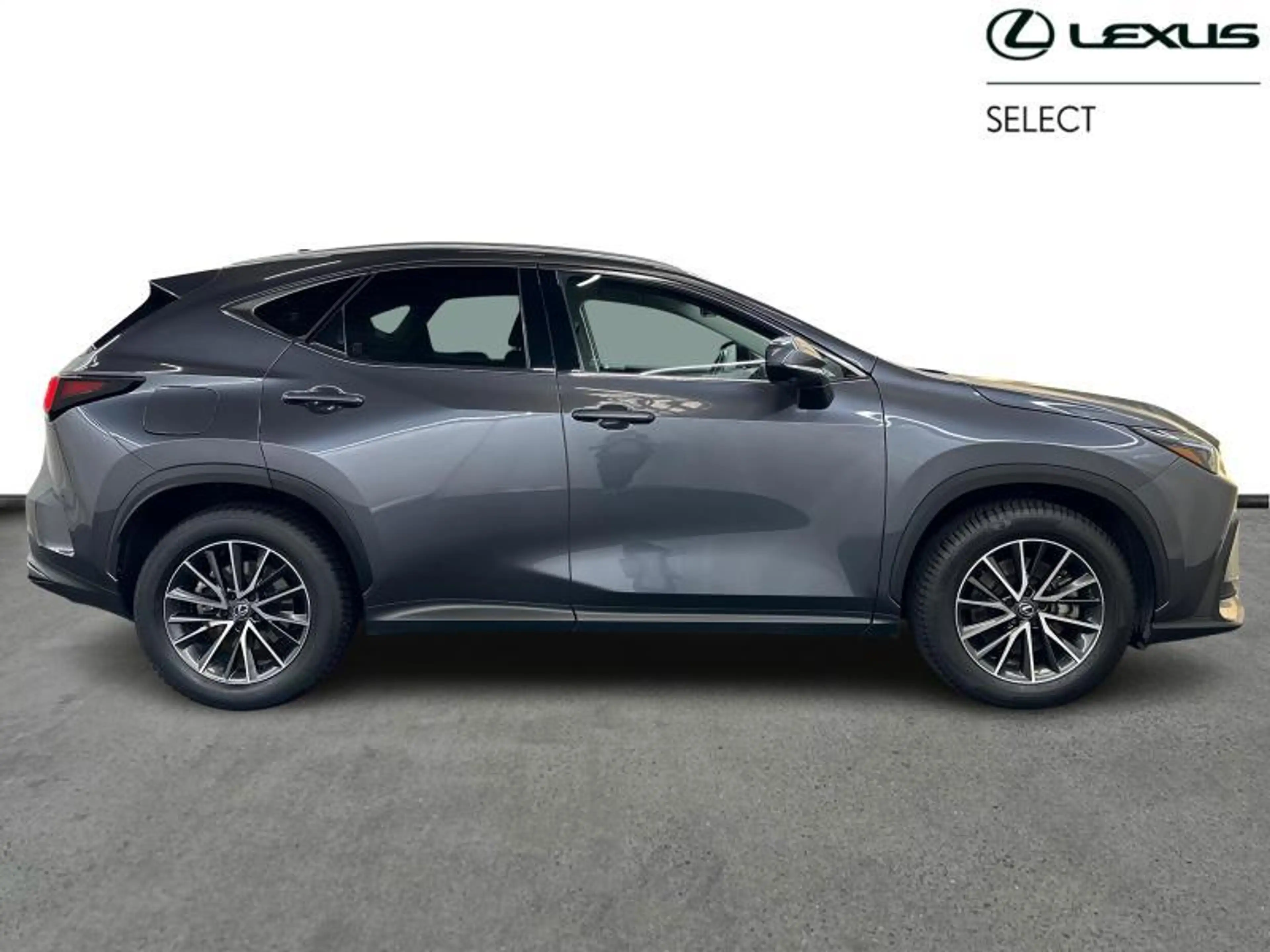 Lexus NX 450h+ Executive Line PHEV — photo 14