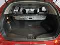 SsangYong Tivoli G16 Limited 4x2 Amarillo - thumbnail 20