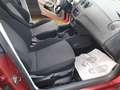 SEAT Ibiza ST 1.6 tdi cr Sport Mauve - thumbnail 10