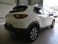 Kia Stonic 1.0 T-GDI ***NAVI+DRIVE-ASSIST+KAMERA*** Blanc - thumbnail 4