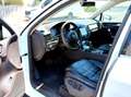 Volkswagen Touareg 3.0 V6 tdi Executive 245cv tiptronic Bianco - thumbnail 13