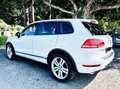 Volkswagen Touareg 3.0 V6 tdi Executive 245cv tiptronic Bianco - thumbnail 5
