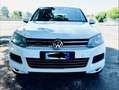 Volkswagen Touareg 3.0 V6 tdi Executive 245cv tiptronic Bianco - thumbnail 1