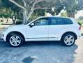Volkswagen Touareg 3.0 V6 tdi Executive 245cv tiptronic Bianco - thumbnail 7