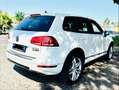 Volkswagen Touareg 3.0 V6 tdi Executive 245cv tiptronic Bianco - thumbnail 4