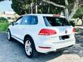 Volkswagen Touareg 3.0 V6 tdi Executive 245cv tiptronic Bianco - thumbnail 6