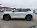 Volkswagen Tayron 2.0 TDI 4Motion Life DSG Weiß - thumbnail 8