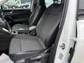 Volkswagen Tayron 2.0 TDI 4Motion Life DSG Weiß - thumbnail 10