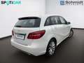 Mercedes-Benz B 220 4MATIC Aut. Weiß - thumbnail 4