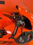 Lifan RC 8C 890 (2021 - 22) - thumbnail 6