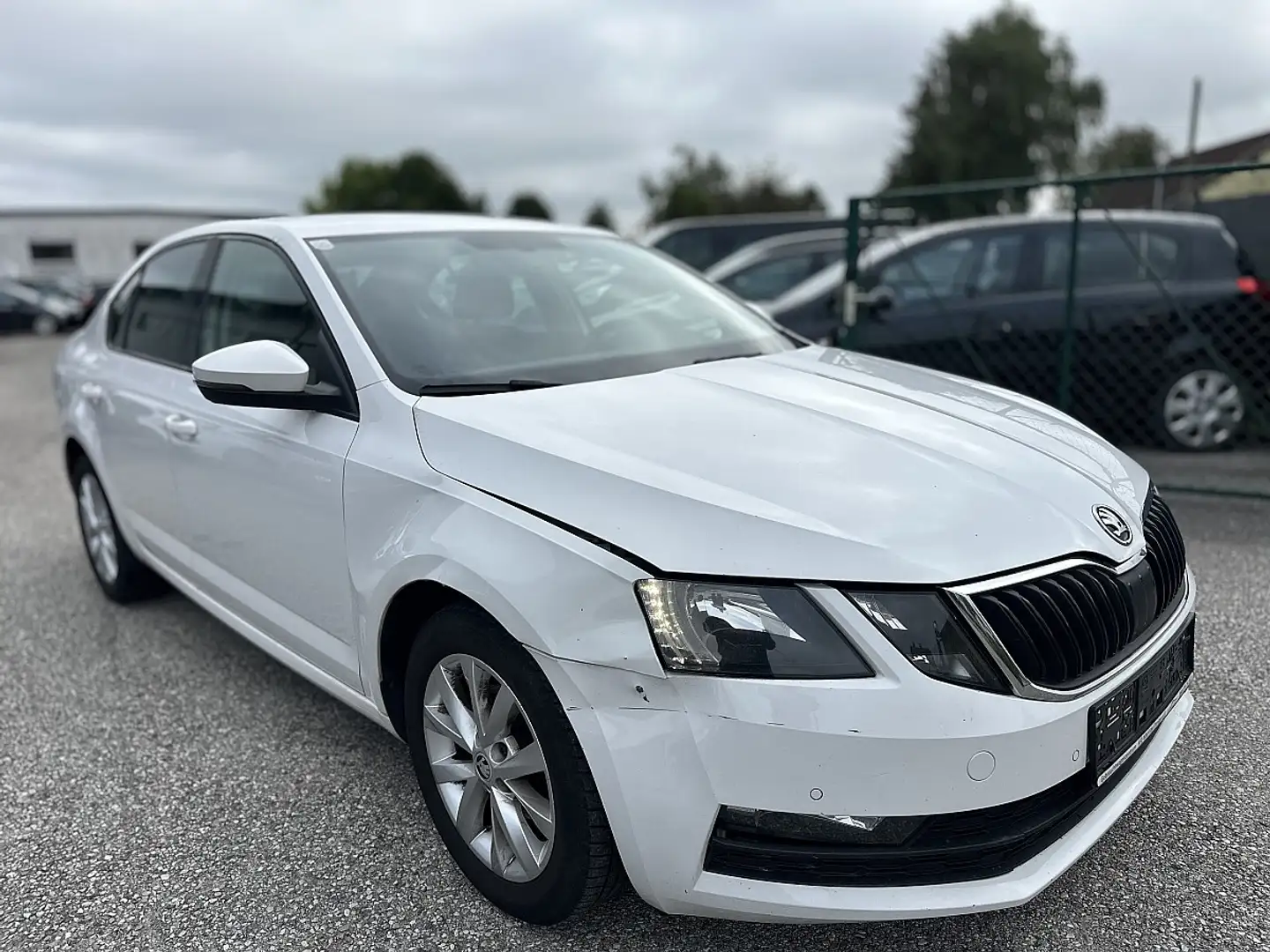 Skoda Octavia Weiß - 2