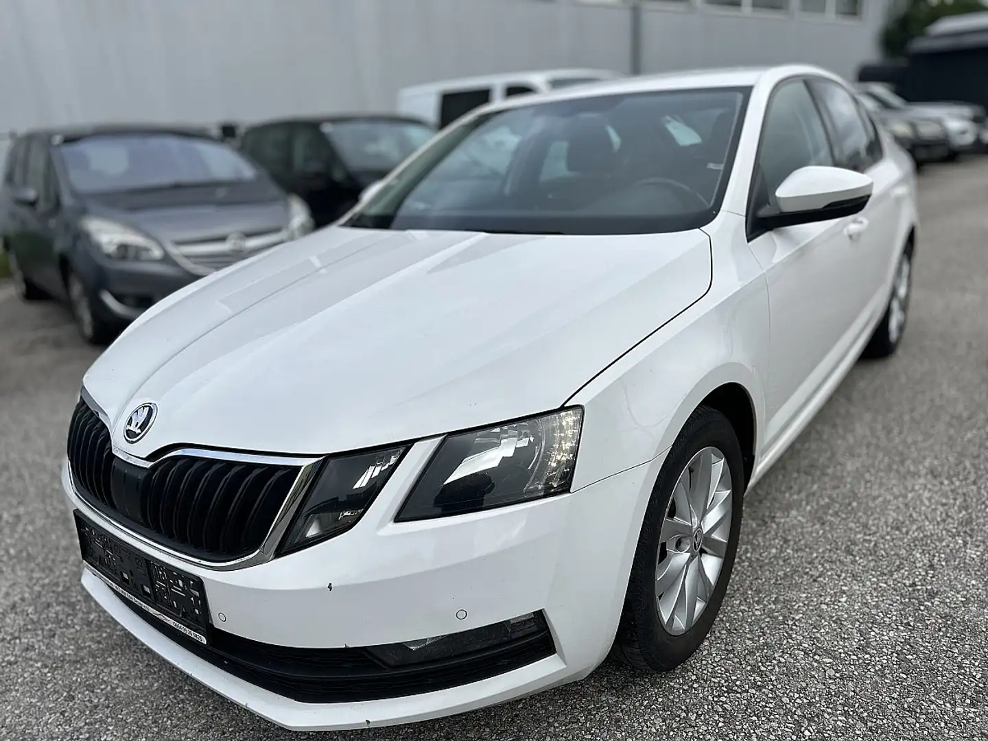 Skoda Octavia Weiß - 1