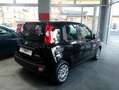 Fiat Panda Panda III 1.0 firefly hybrid City Life s&s Schwarz - thumbnail 3